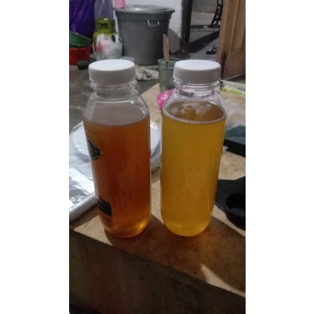 

Madu Trigona Ukuran 500 Gram