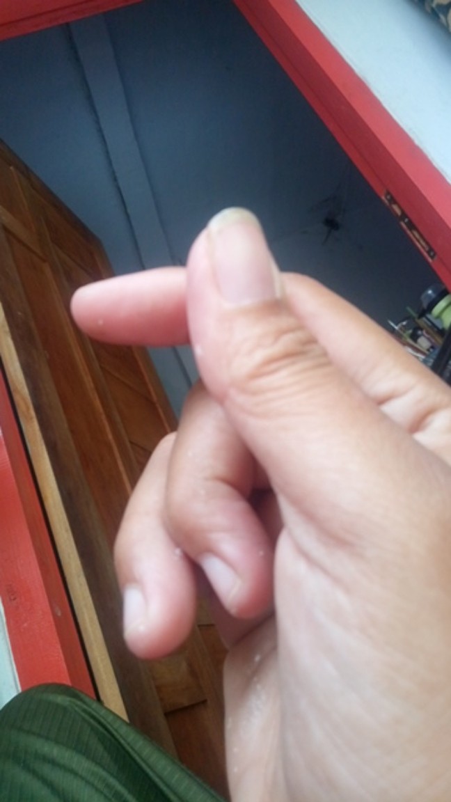 [gridline - R072 & R017] Kemeja Batik Pria Katun Lengan Pendek Regular