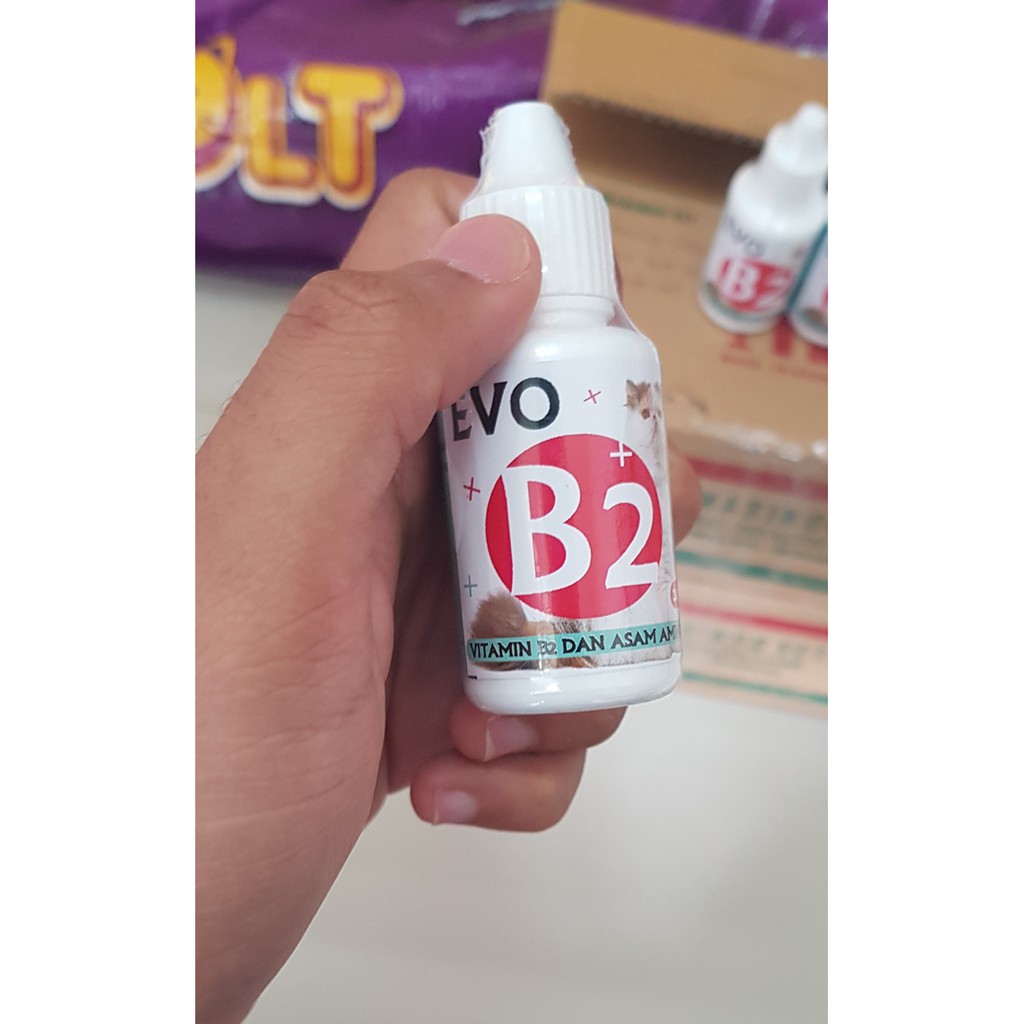 Evo b2  Bulu Rontok Kucing Vitamin B2 Asam Amino