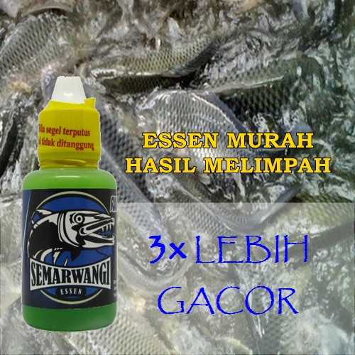 Essen Semarwangi Hijau Esen Spesial Ikan Nila Kilo Gebrus - Waduk Liar - Umpan Lumut