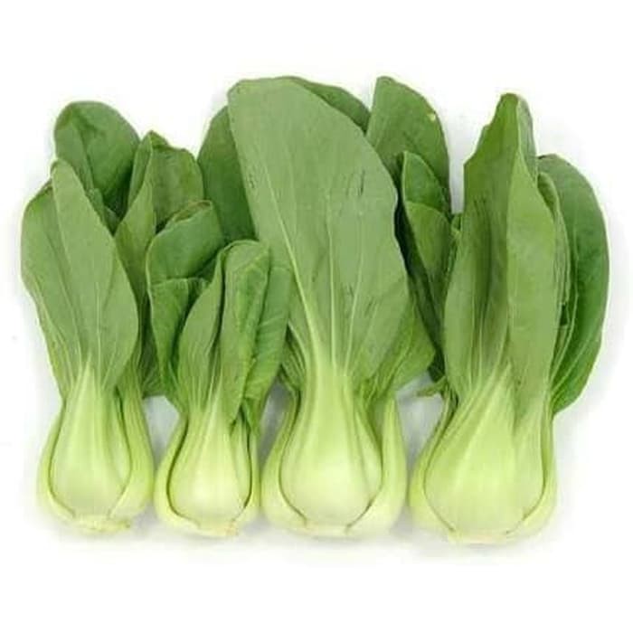 

PAKCOY ORGANIK 150 GR