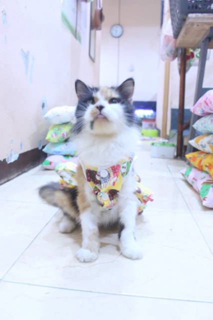 Dress kuning motif gambar kucing lucu untuk kucing dan anjing / baju kucing murah size S M L XL