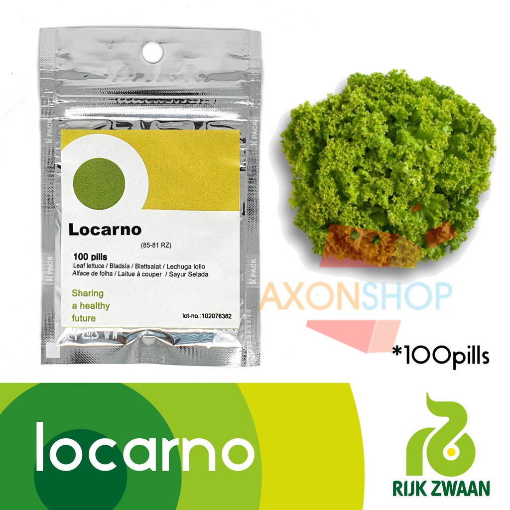 AXON Benih RZ Locarno Green Leaf Lettuce 100 Pills Lollo Bionda Sayur Selada Hijau Rijk Zwaan Seeds