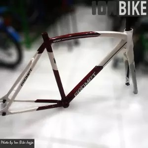 custom frame fixie