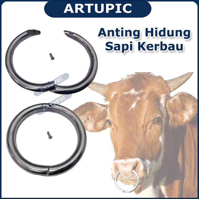 Anting Hidung Bull Ring Nose Cincin Sapi Kerbau Tendok Keluh Artupic