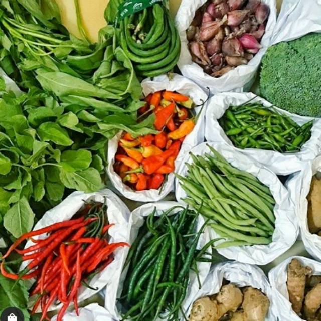 Paket tanaman sayuran / bibit sayuran