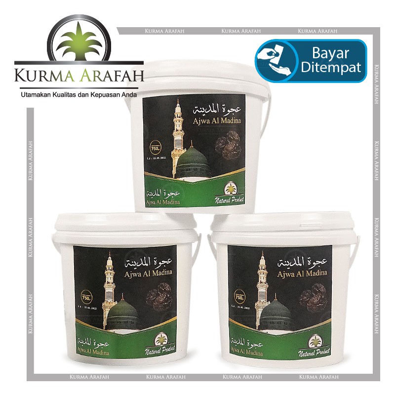 Kurma Ajwa Ember 750 gr Ajwa Al Madina Ajwa Asli Kurma Premium Ori