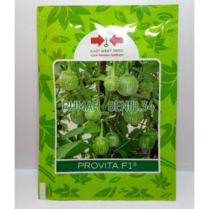 Benih Terong Lalap Provita F1 1100 Butir @Cap Panah Merah