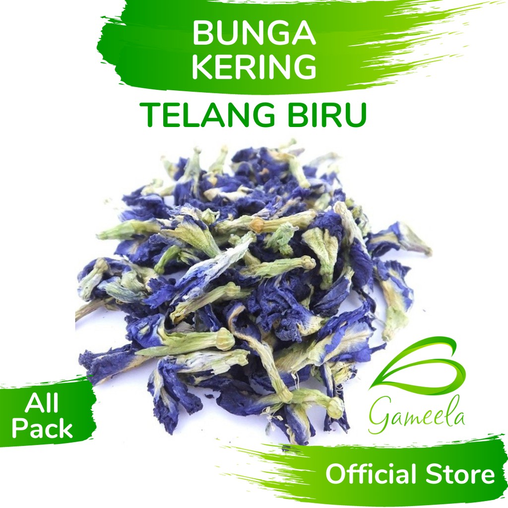 

Gameela Bunga Telang Kering All Pack Butterfly Blue Pea Dried Flower Tea Teh Tisane Warna Biru Alami