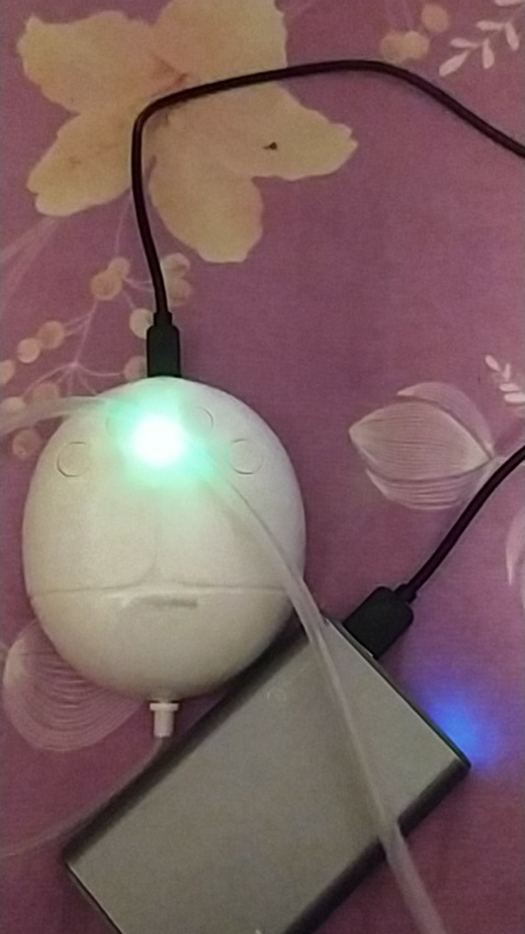 Isi 150 Benih Biji Sayur Wortel - Carrot Import