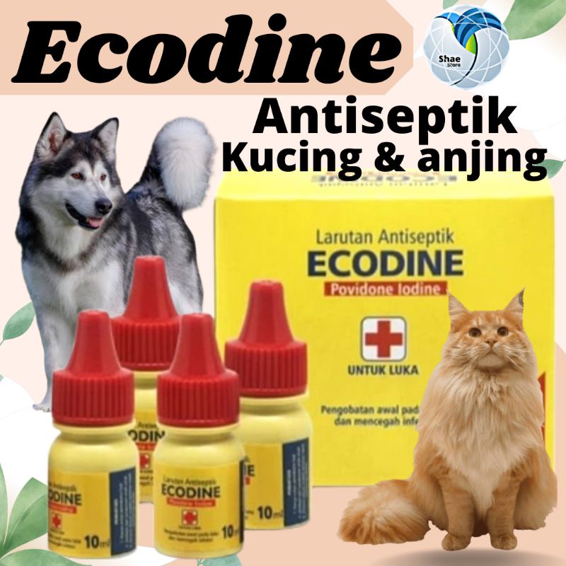 ECODINE-Cairan antiseptik Obat Luka Kucing Anjing Kelinci Anti Infeksi Cepat Kering 10ml