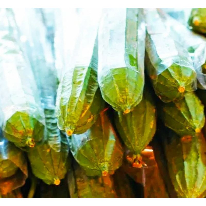 

Sayur Segar - Oyong 500 gr