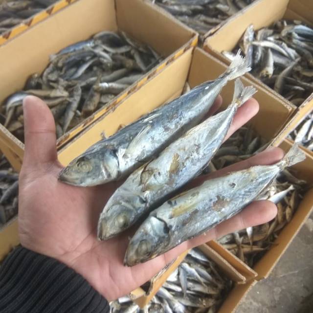

Ikan Asin Layang