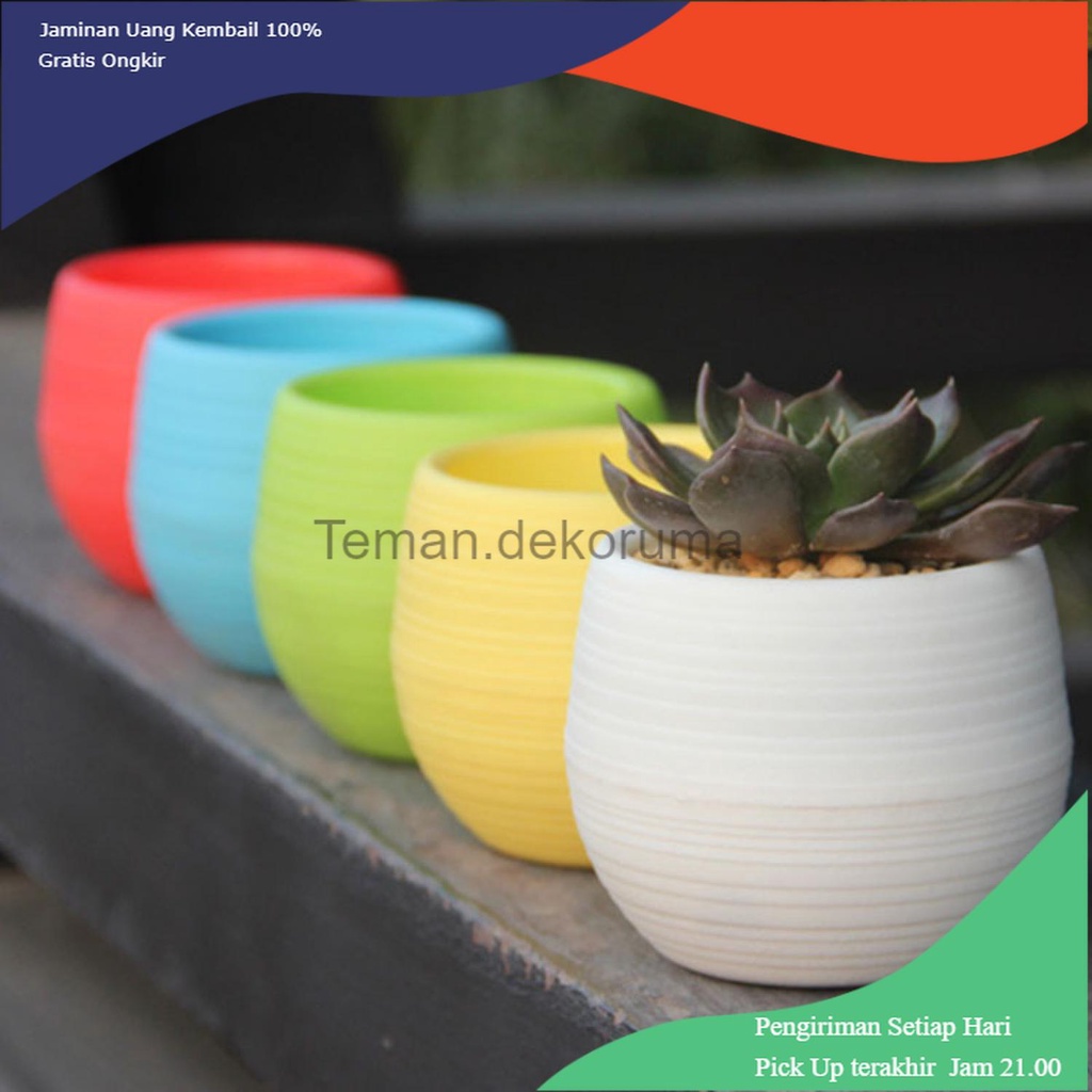 TD-A101 Mini Pot Bunga Hias Kaktus Tanaman - 5pcs