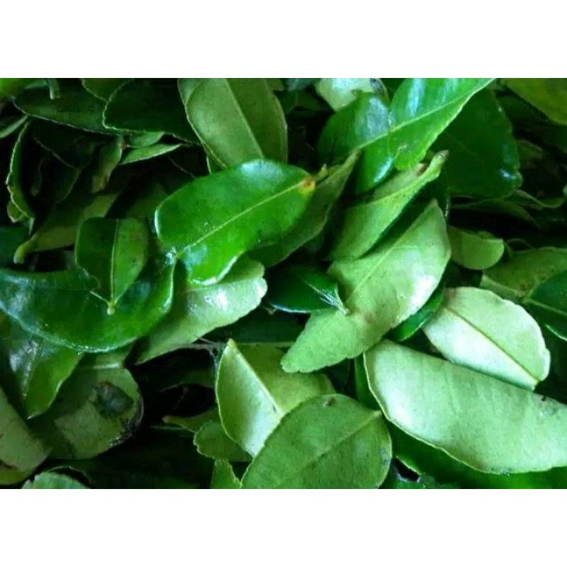 

Daun Jeruk 100 gr
