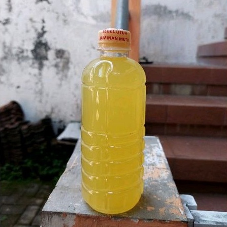 PROBIOTIK G12/B12 Atasi KANKER , TUMOR , DIABETES & JANTUNG 1/2Liter/500ml, Ori Prof Sukardi