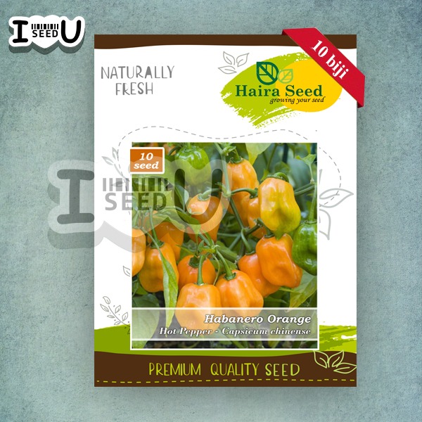 Haira Seed Bibit-Biji Cabe Super Pedas Habanero Orange