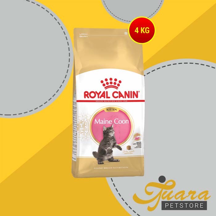 Cat Food / Makanan Kucing Royal Canin Kitten Maine Coon 4 Kg