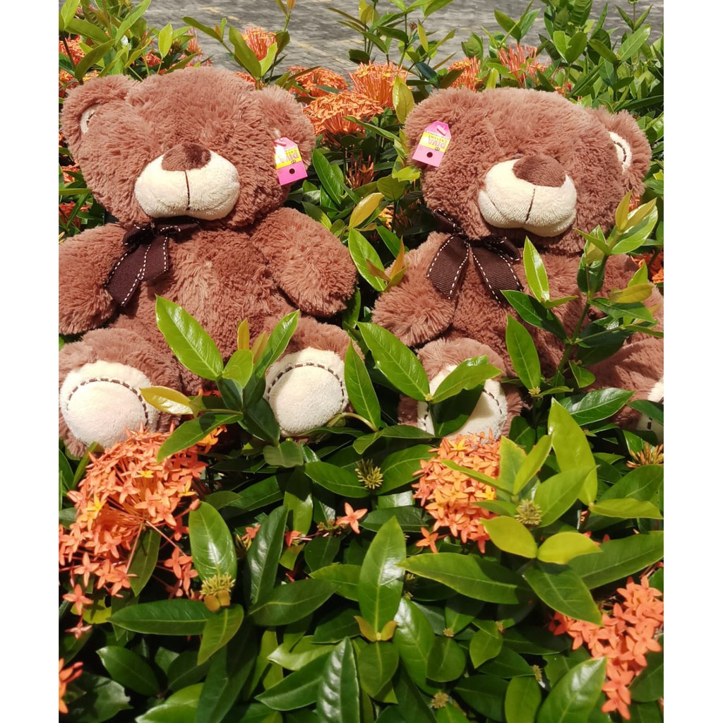 BONEKA BEAR TAPAK BORDIR PITA 12 INCI