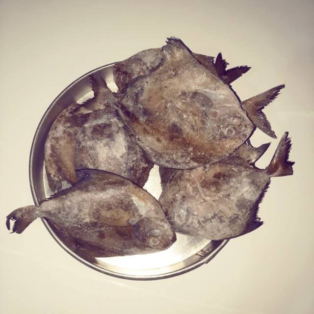 

Ikan bawal hitam