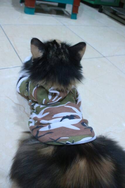 Kaos hoodie jumper army ala korea untuk kucing dan anjing size S M L XL