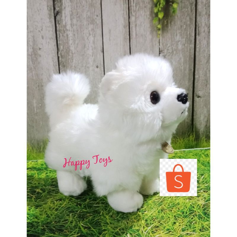 Promo Boneka Anjing Mini Pom Putih Keren Shopee Indonesia