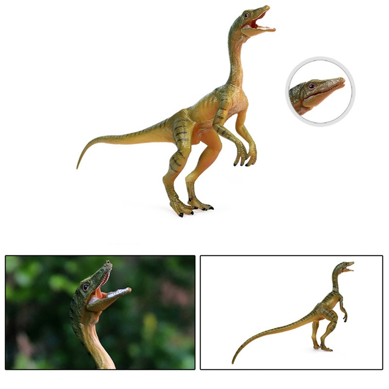 Mary Desk Koleksi Mainan Figure Simulasi Hewan Compsognathus Hobi Kolektor Mendukung