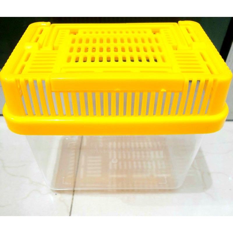 ARMADA /NIKITA PET HOME 01 Aquarium  ikan kecil kura kura
