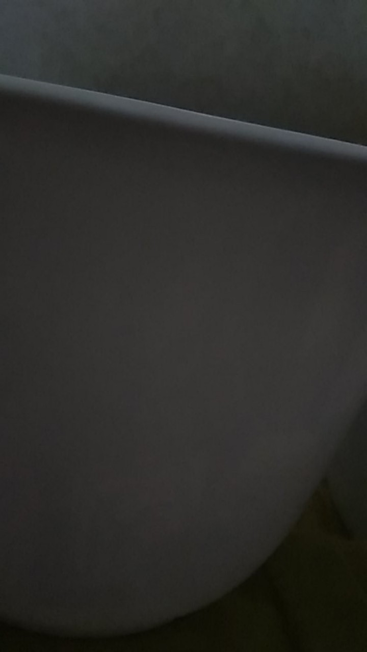 Pot Tawon /pot Nanas 17