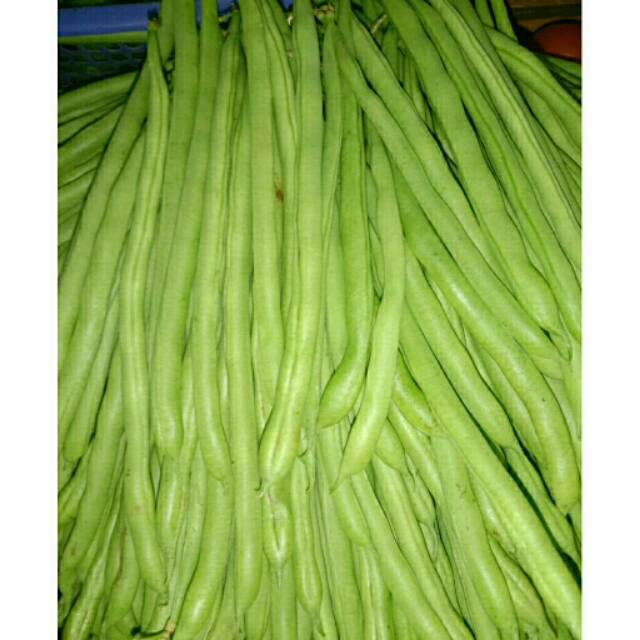 Buncis (green bean) / 250 gram