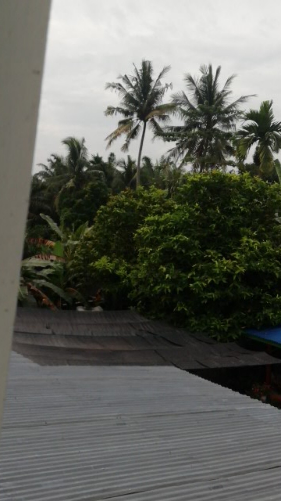 Batik Semoga Jaya | Jumbo Tunik Batik Wanita Atasan Seragam Terlaris