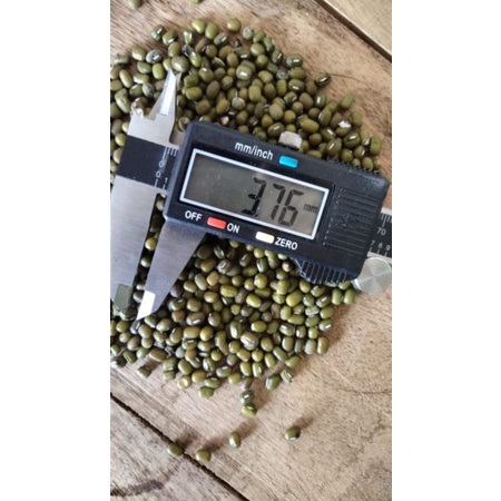 

kacang ijo yulex