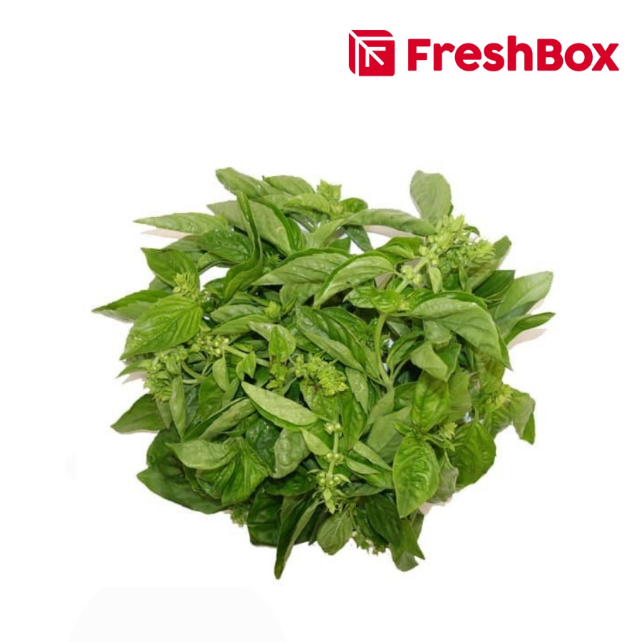 

Daun Kemangi 250gr FreshBox