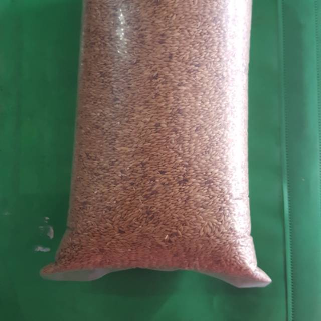 CANARY SEED KENARI SEED BIJI KENARI  700 gr pakan kenari biji kenari