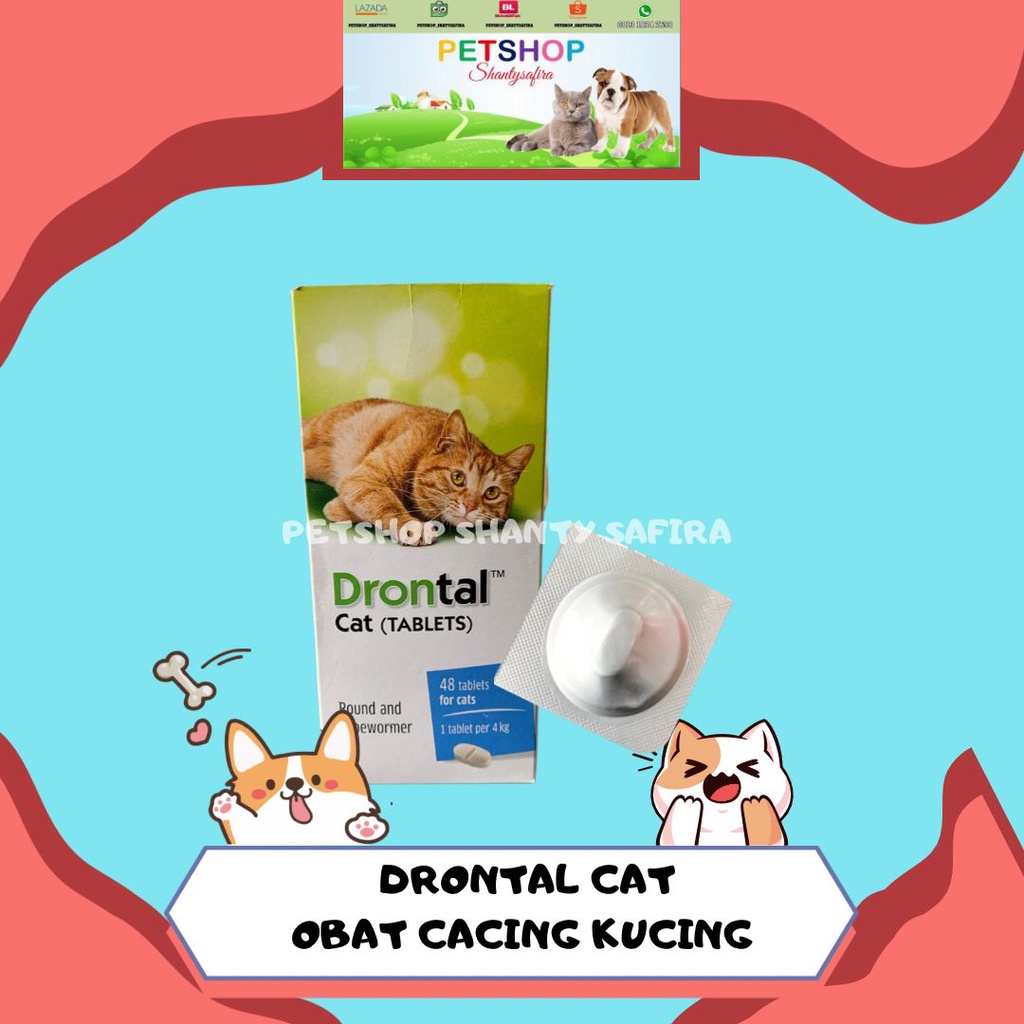 DRONTAL CAT OBAT CACING KUCING HARGA PER TABLET