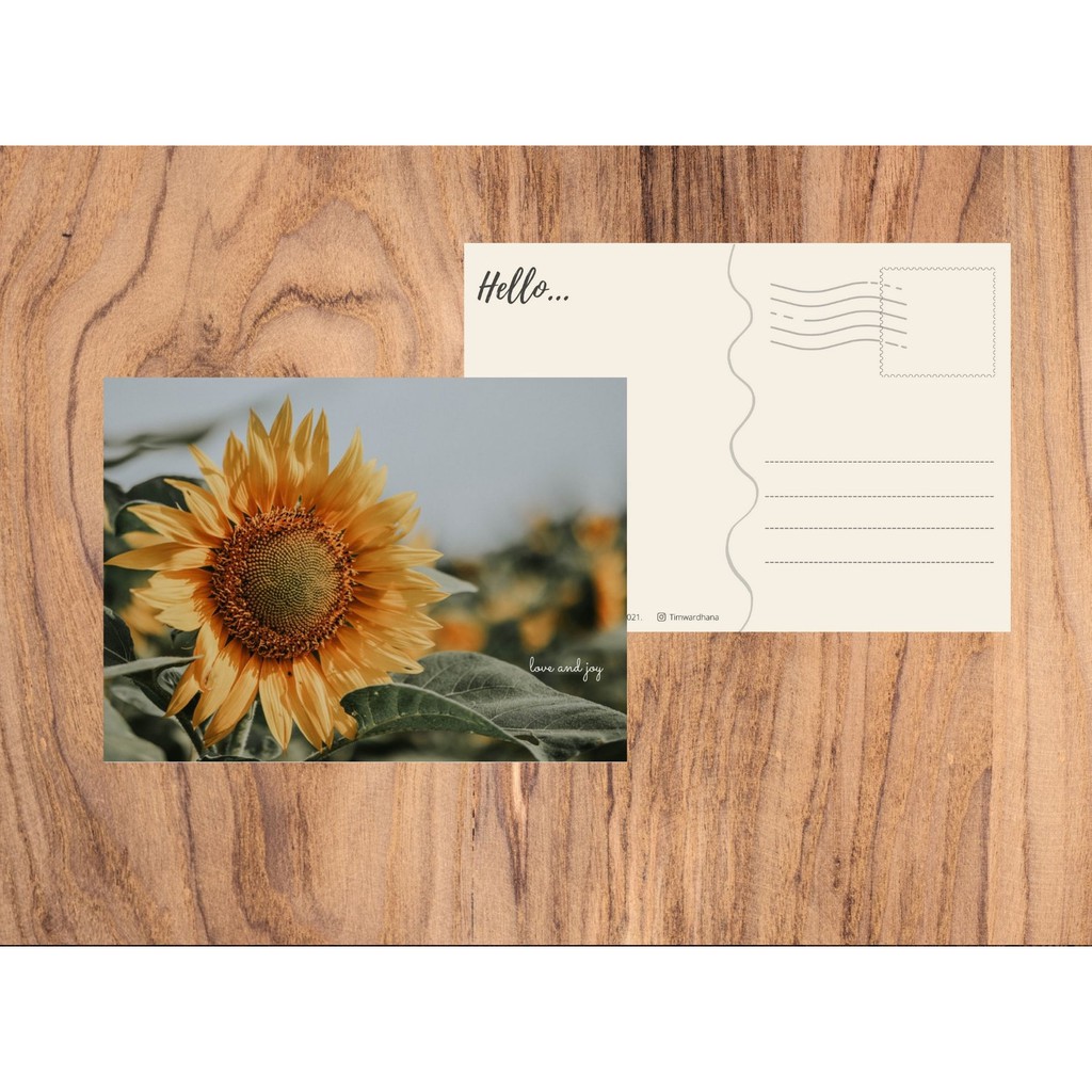 

Postcard/kartu pos sunflower