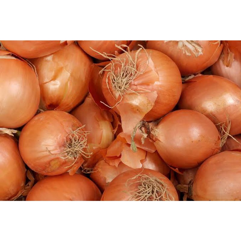 

BSM | TERMURAH Bawang Bombay Segar 250gr - 1kg | Sayur online