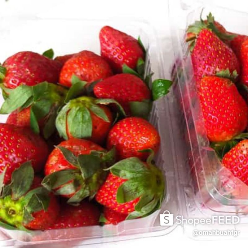 Buah Strawberry Segar Strawbery Pack 100-150 gram