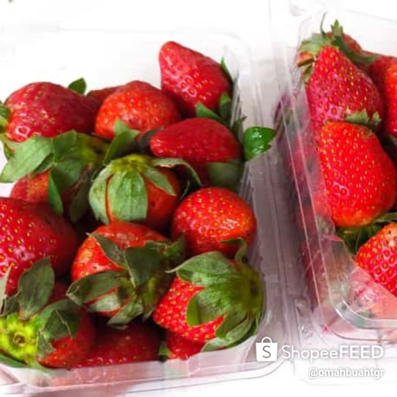 Buah Strawberry Segar Strawbery Pack 100-150 gram