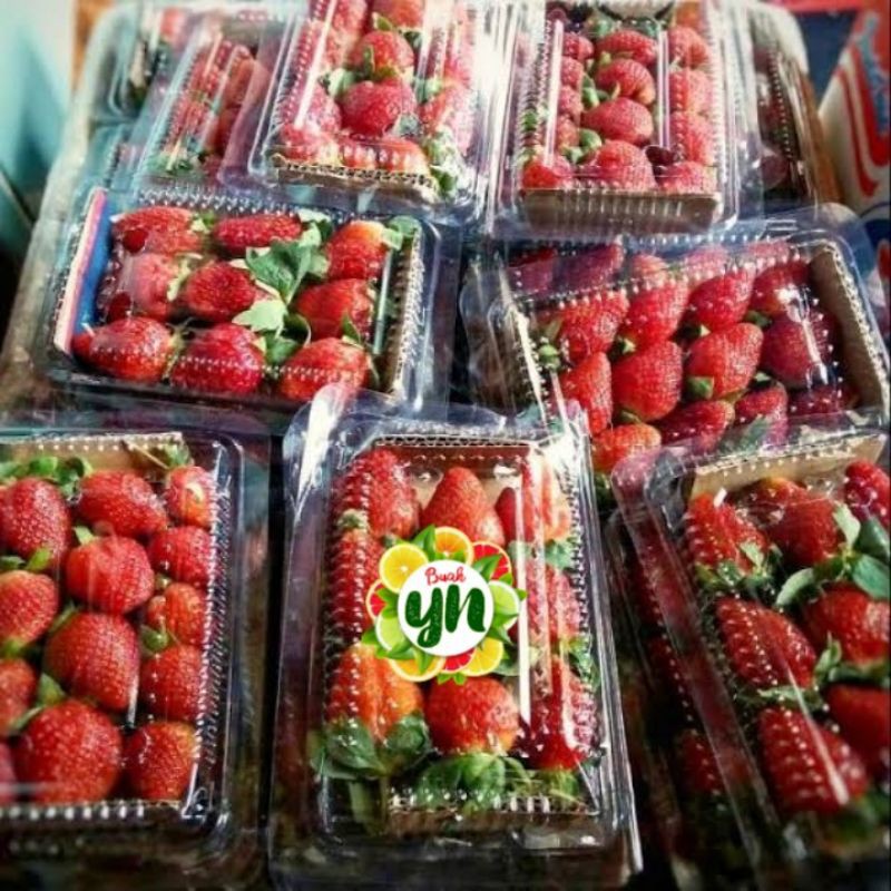 

Buah Strawberry Segar