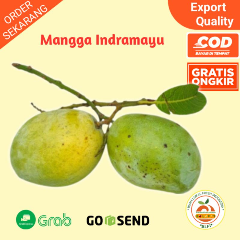 

BUAH MANGGA INDRAMAYU PREMIUM 1KG