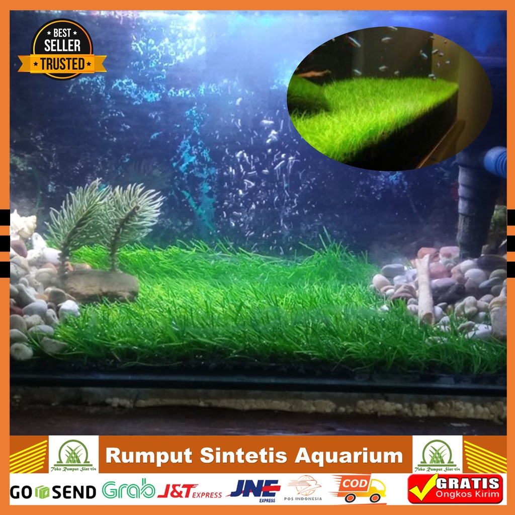 Rumput Sintetis Aquarium 100x50cm Rumput Sintetis Aquascape Tebal 3 cm Rumput Platik Aquarium 80x40c