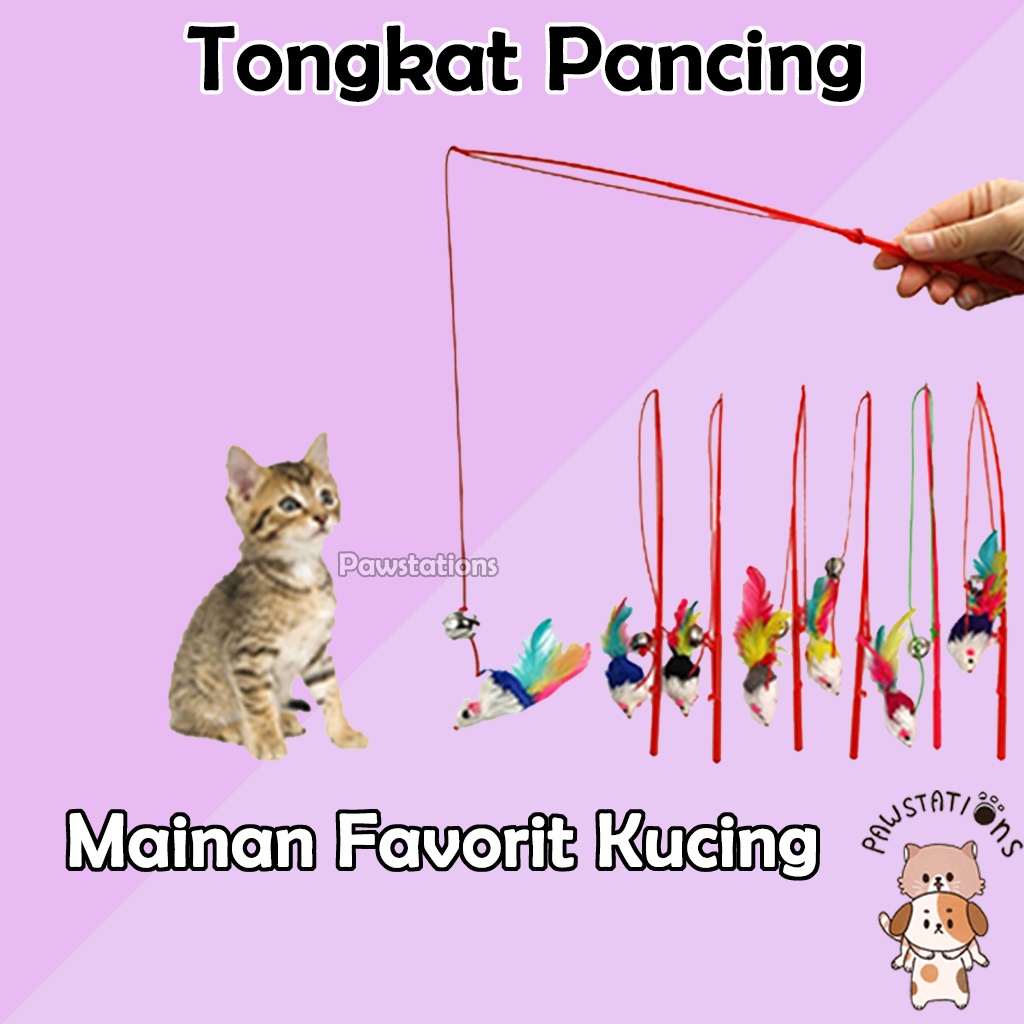 Tongkat Tikus Mainan Kuncing Tongkat Pancing Tikus dengan Lonceng