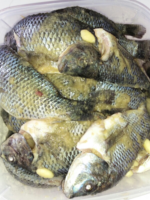 Rinso Deterjen Cair 12 Pcs