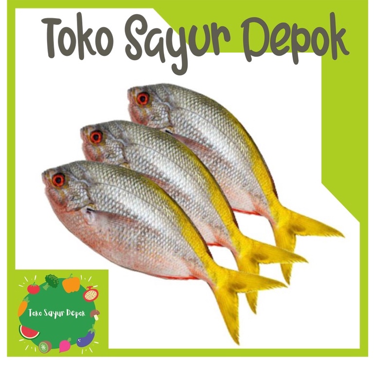 

ikan ekor kuning