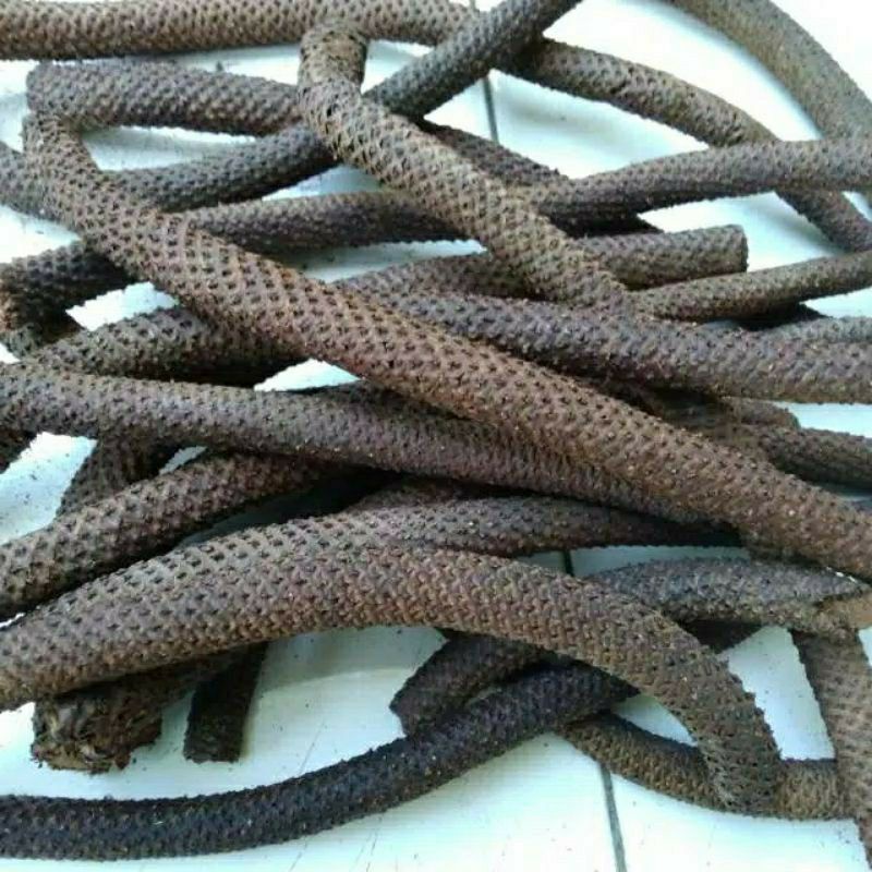 Kayu Lanang / Kayu wolo 500 gram