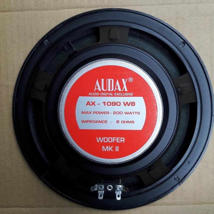 speaker 10 inch 100 watt