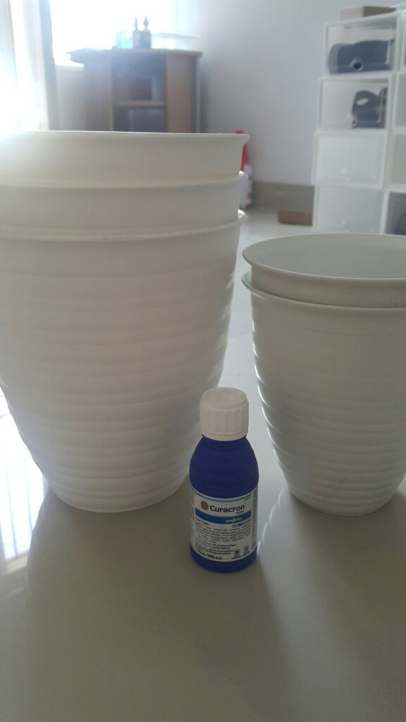 Curacron | Insektisida | Kutu Putih | Obat Hama