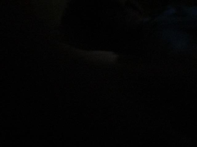 Wall Decor Shabby /poster Kayu / Ukuran 20x25cm / Make Up Pouch