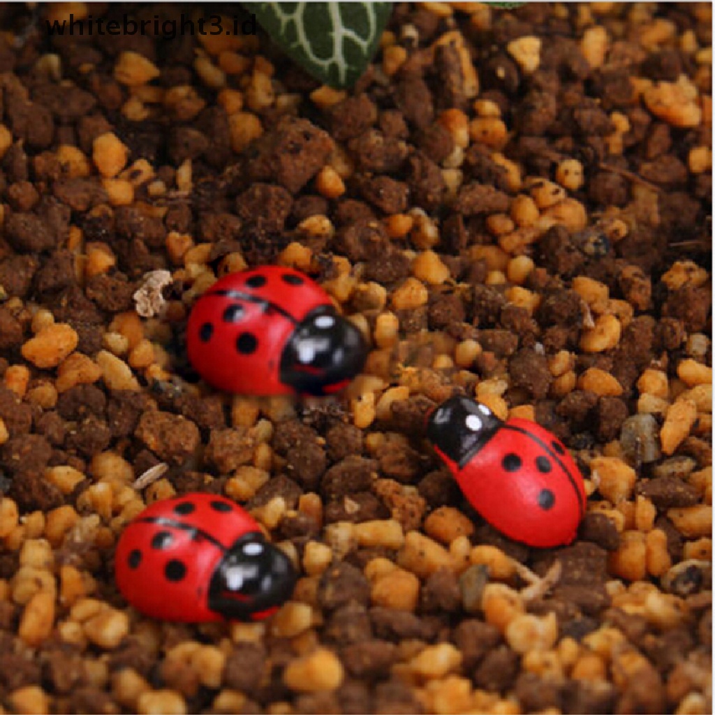 {whitebright3.id} Mini Ladybug Beatles Garden Ornaments Scenery Craft For Plant Pot Fairy Decor ,